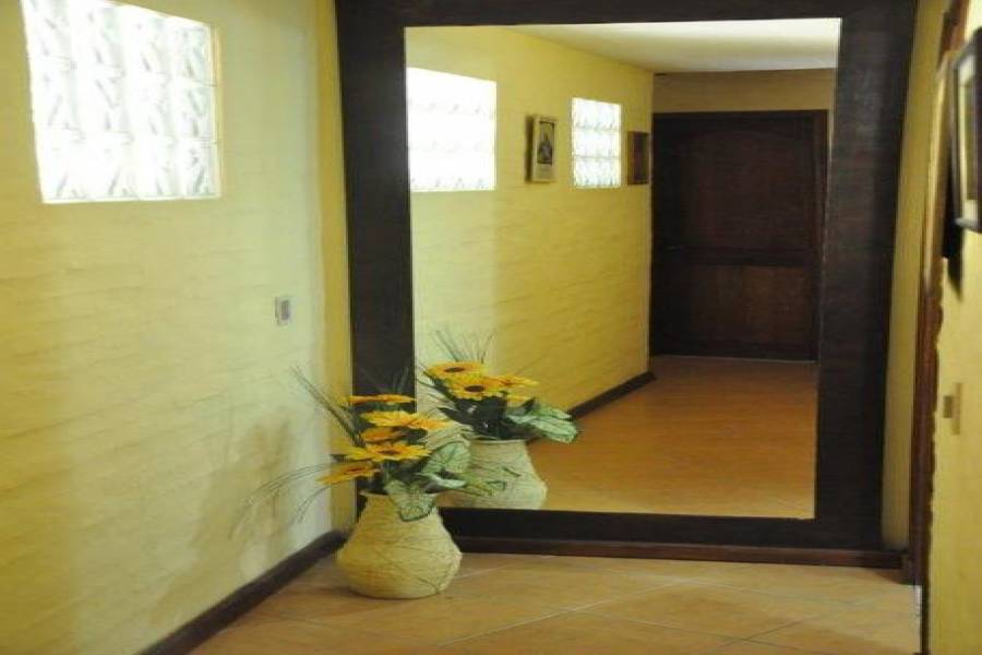 Punta del Este, Maldonado, Uruguay, 4 Bedrooms Bedrooms, ,3 BathroomsBathrooms,Apartamentos,Venta,42102