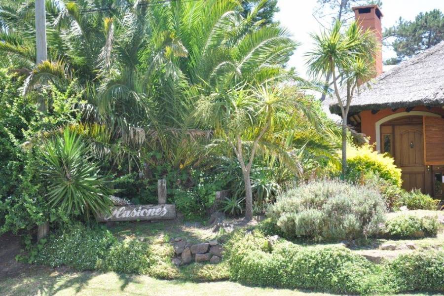 Punta del Este, Maldonado, Uruguay, 4 Bedrooms Bedrooms, ,3 BathroomsBathrooms,Apartamentos,Venta,42102