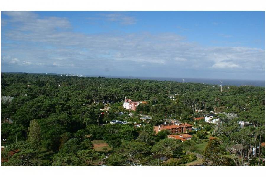 Punta del Este, Maldonado, Uruguay, 2 Bedrooms Bedrooms, ,2 BathroomsBathrooms,Apartamentos,Venta,42156