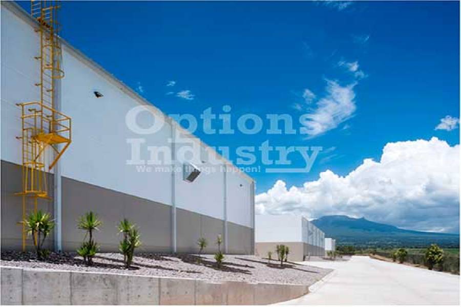 Tlaxcala, Mexico, ,2 BathroomsBathrooms,Bodegas,Alquiler-Arriendo,42161