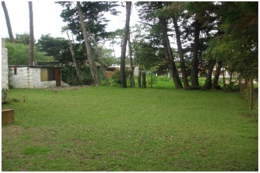 Punta del Este, Maldonado, Uruguay, 3 Bedrooms Bedrooms, ,2 BathroomsBathrooms,Casas,Venta,42183