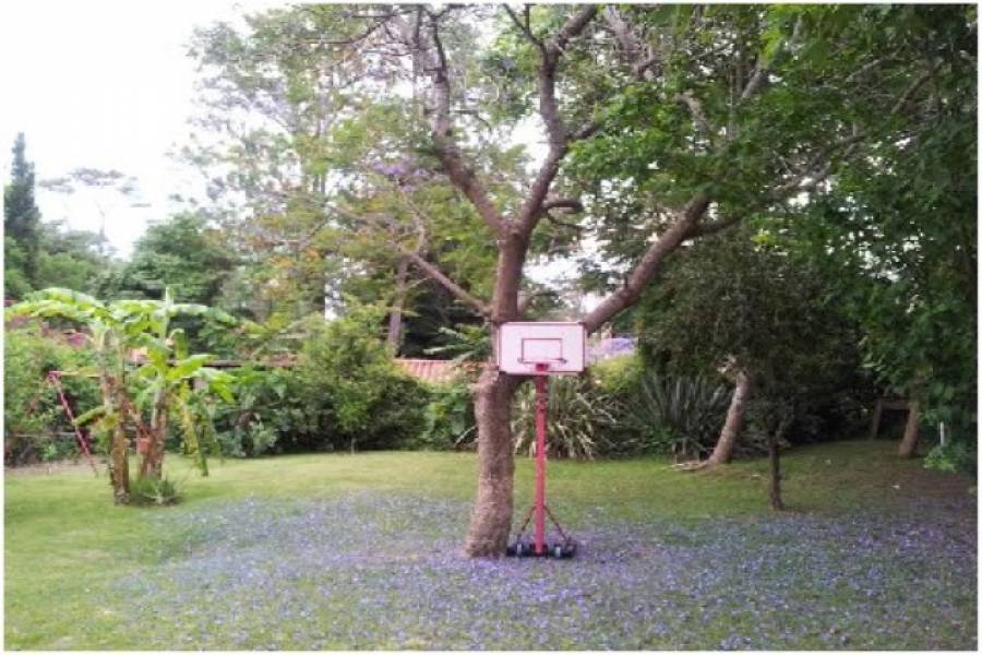 Punta del Este, Maldonado, Uruguay, 3 Bedrooms Bedrooms, ,2 BathroomsBathrooms,Casas,Venta,42187