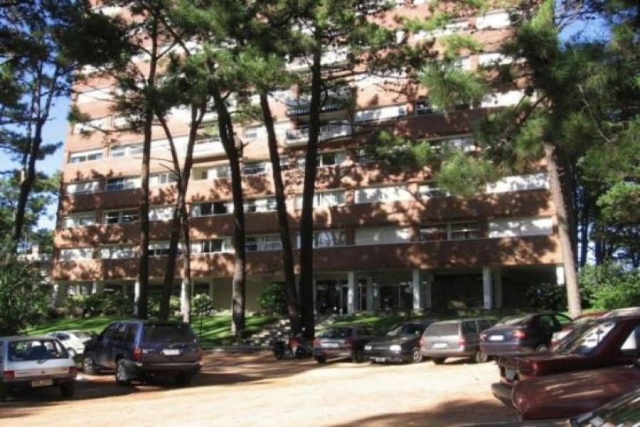 Punta del Este, Maldonado, Uruguay, 1 Dormitorio Bedrooms, ,1 BañoBathrooms,Apartamentos,Venta,42197