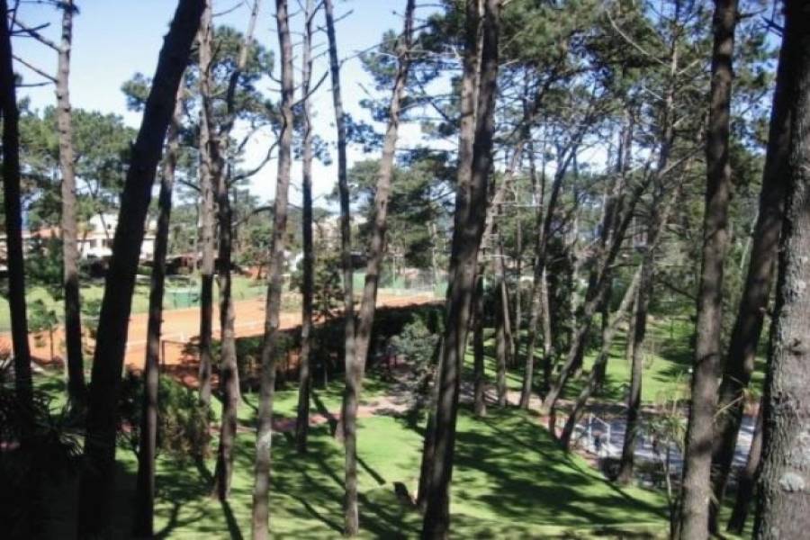 Punta del Este, Maldonado, Uruguay, 1 Dormitorio Bedrooms, ,1 BañoBathrooms,Apartamentos,Venta,42197