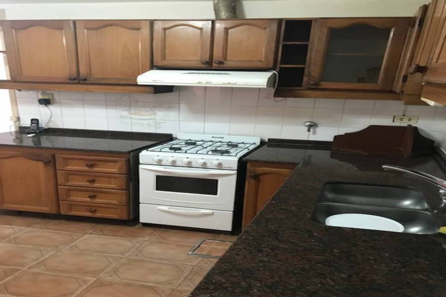 Cocina a gas, campana extractora aire/humo, alacenas, muebles bajo mesada