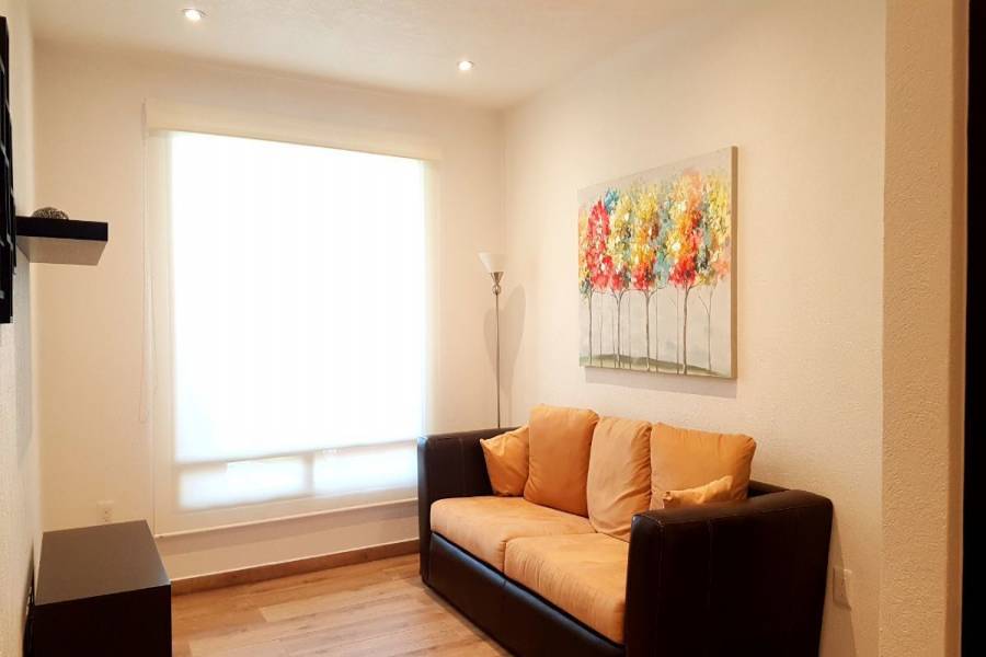 Álvaro Obregón, Estado de Mexico, Mexico, 3 Habitaciones Habitaciones, ,2 BathroomsBathrooms,Apartamentos,Venta,42236