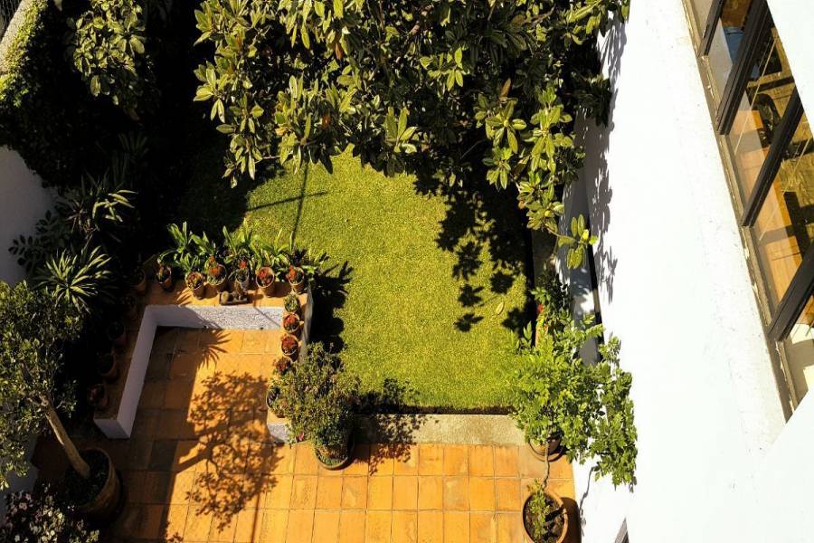 Coyoacán, Estado de Mexico, Mexico, 1 Habitación Habitaciones,1 BañoBathrooms,Oficinas,Venta,42242