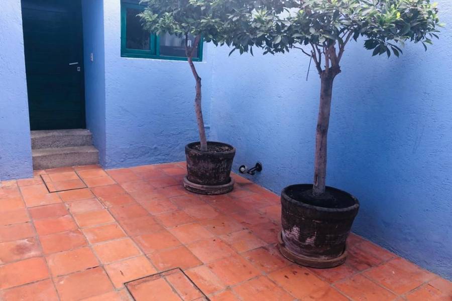 Coyoacán, Estado de Mexico, Mexico, 1 Habitación Habitaciones,1 BañoBathrooms,Oficinas,Venta,42242
