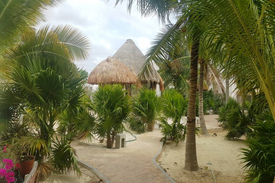 PROGRESO, Yucatán, Mexico, 3 Habitaciones Habitaciones, ,2 BathroomsBathrooms,Apartamentos,Venta,42292