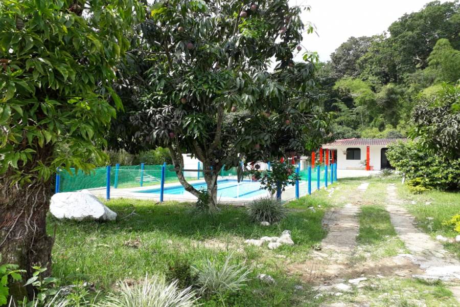 IBAGUE, Tolima, Colombia, 3 Habitaciones Habitaciones, ,3 BathroomsBathrooms,Fincas-Villas,Alquiler-Arriendo,CORREGIMIENTO EL TOTUMO,1,42308