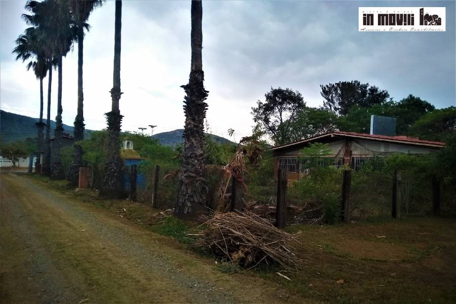 oaxaca, Oaxaca, Mexico, ,Lotes-Terrenos,Venta,avenida ferrocarril,42326