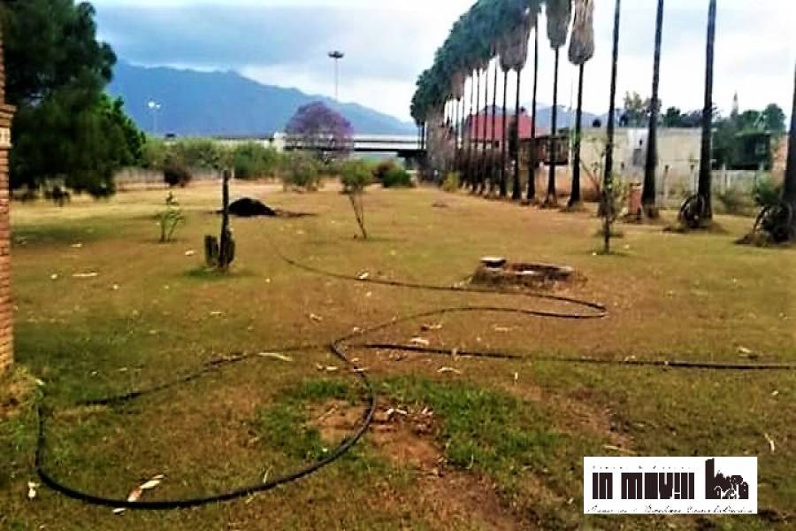 oaxaca, Oaxaca, Mexico, ,Lotes-Terrenos,Venta,avenida ferrocarril,42326