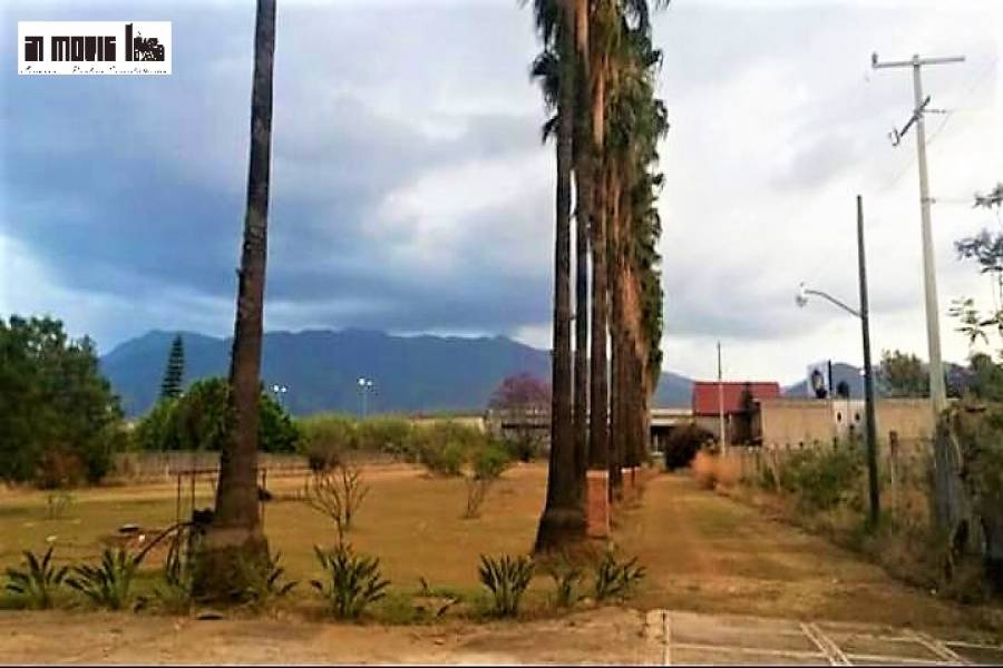 oaxaca, Oaxaca, Mexico, ,Lotes-Terrenos,Venta,avenida ferrocarril,42326