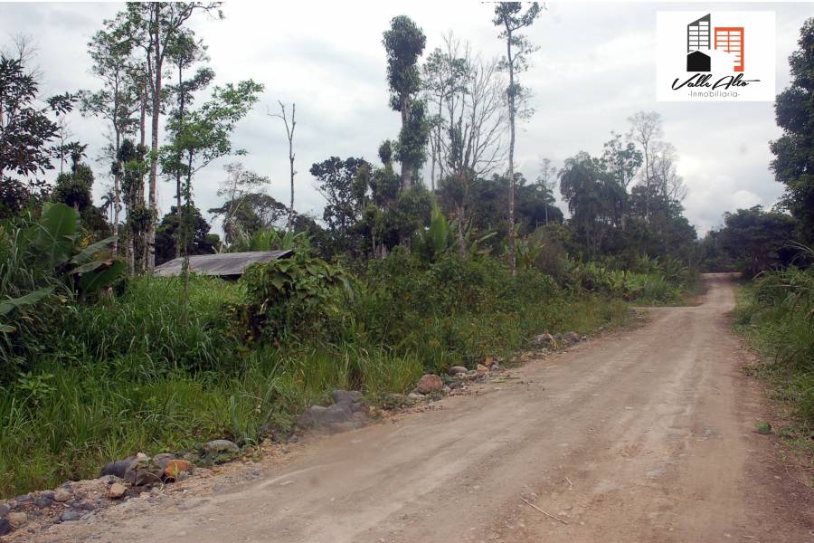Macas, MORONA SANTIAGO, Ecuador, ,Lotes-Terrenos,Venta,42408