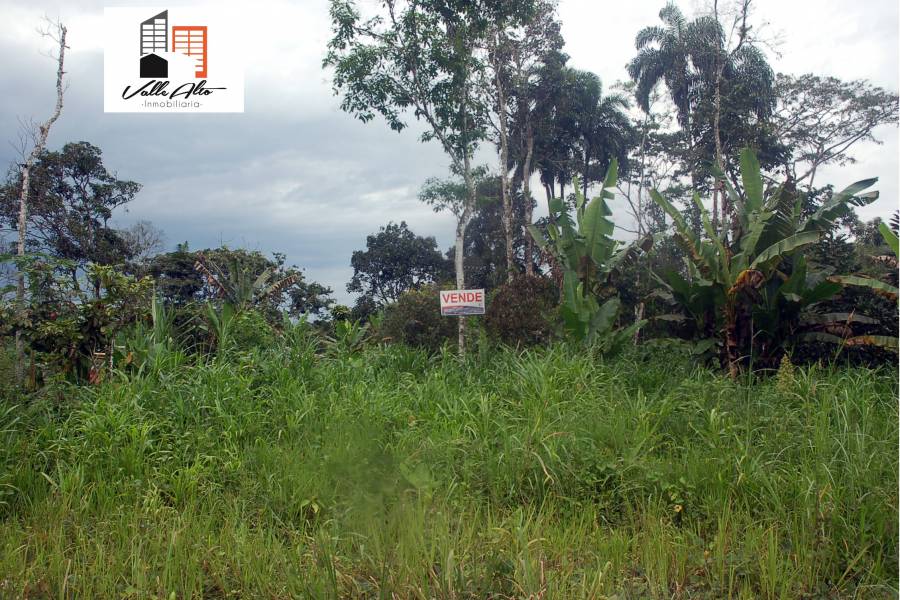 Macas, MORONA SANTIAGO, Ecuador, ,Lotes-Terrenos,Venta,42408