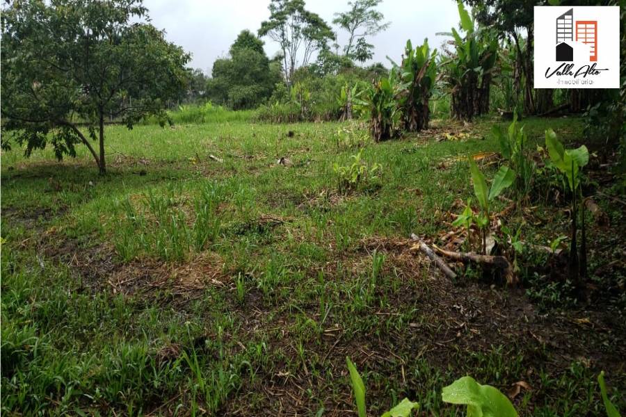 macas, MORONA SANTIAGO, Ecuador, ,Lotes-Terrenos,Venta,42457