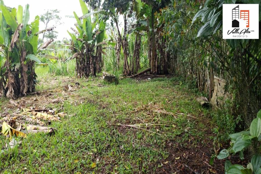 macas, MORONA SANTIAGO, Ecuador, ,Lotes-Terrenos,Venta,42457