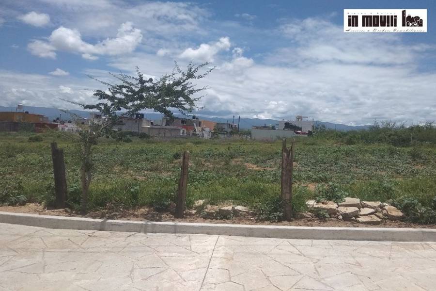 san pablo etla, Oaxaca, Mexico, ,Lotes-Terrenos,Venta,REVOLUCION 5, FRACC MANANTIAL, HACIENDA BLANCA, SA,42573