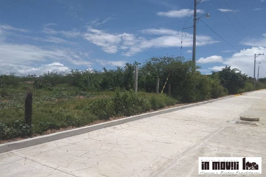 san pablo etla, Oaxaca, Mexico, ,Lotes-Terrenos,Venta,REVOLUCION 5, FRACC MANANTIAL, HACIENDA BLANCA, SA,42573