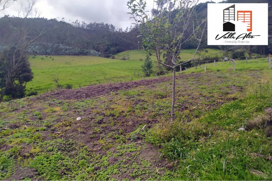 Cuenca, AZUAY, Ecuador, ,Lotes-Terrenos,Venta,Via Giron Pasaje,42589