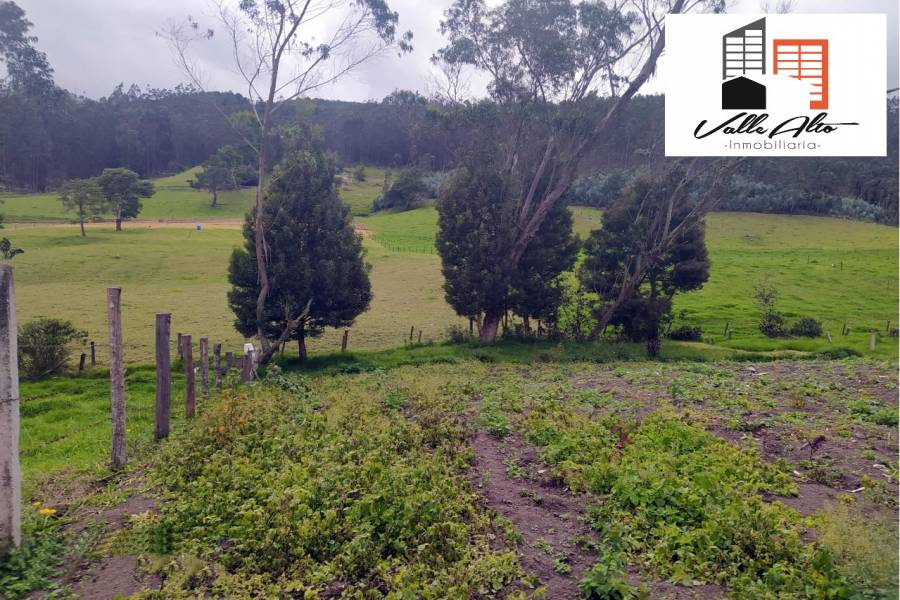 Cuenca, AZUAY, Ecuador, ,Lotes-Terrenos,Venta,Via Giron Pasaje,42589