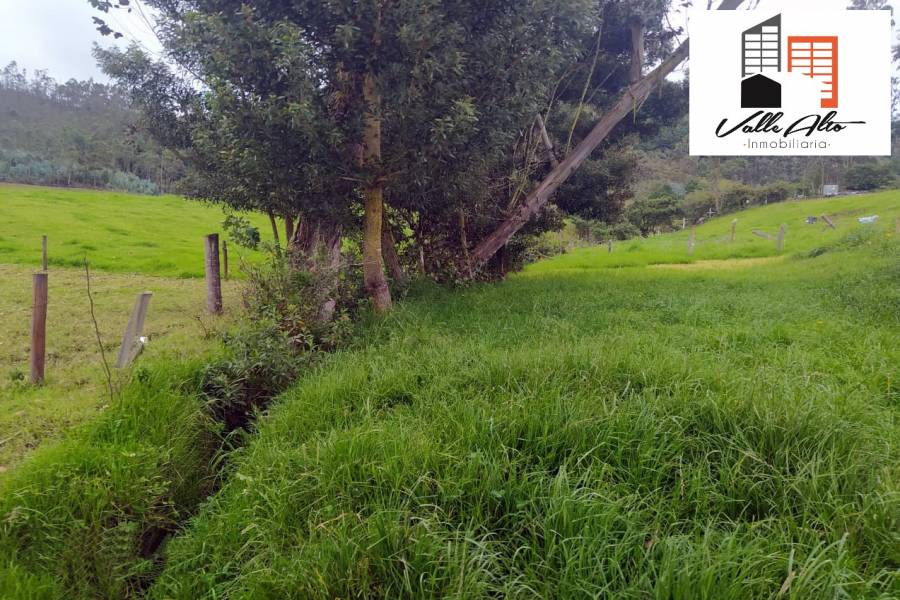 Cuenca, AZUAY, Ecuador, ,Lotes-Terrenos,Venta,Via Giron Pasaje,42589