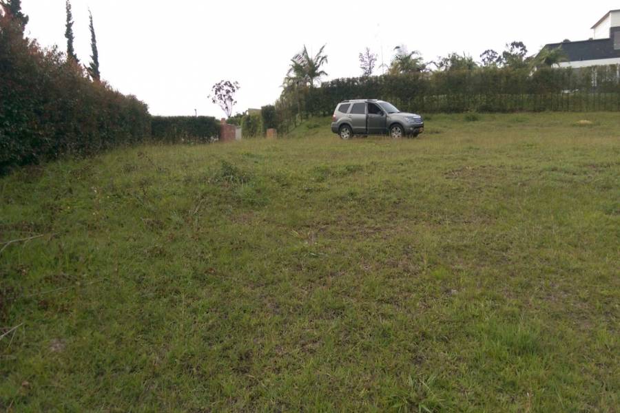 SAN ANTONIO DE PEREIRA, Antioquia, Colombia, ,Lotes-terrenos comercial,Venta,42595
