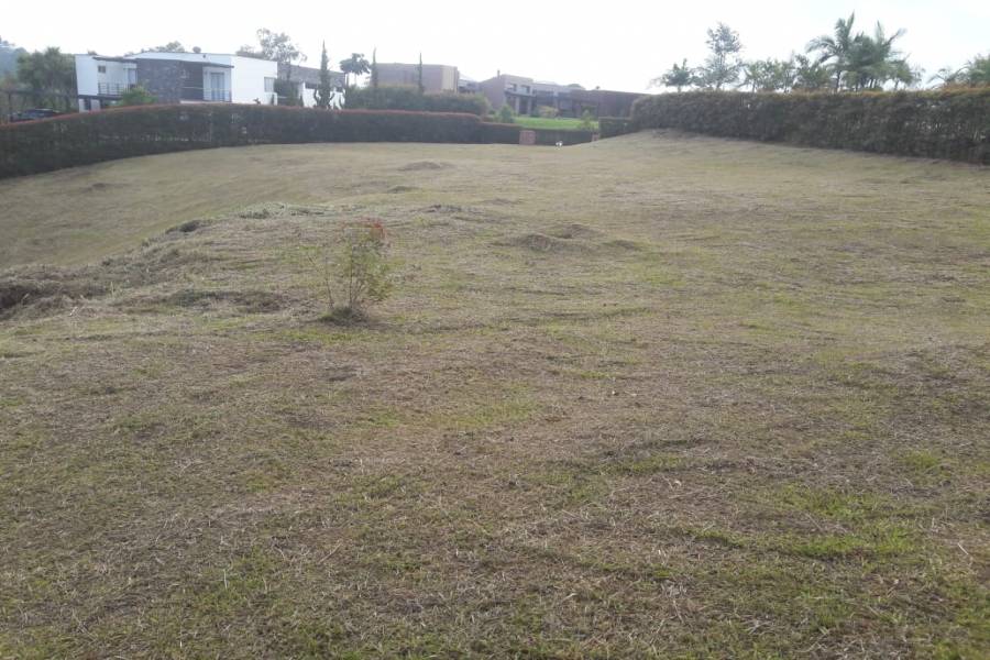 SAN ANTONIO DE PEREIRA, Antioquia, Colombia, ,Lotes-terrenos comercial,Venta,42595