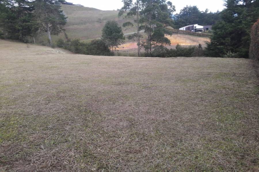 SAN ANTONIO DE PEREIRA, Antioquia, Colombia, ,Lotes-terrenos comercial,Venta,42595