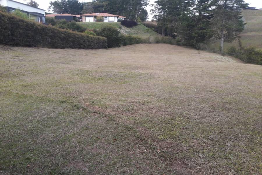 SAN ANTONIO DE PEREIRA, Antioquia, Colombia, ,Lotes-terrenos comercial,Venta,42595