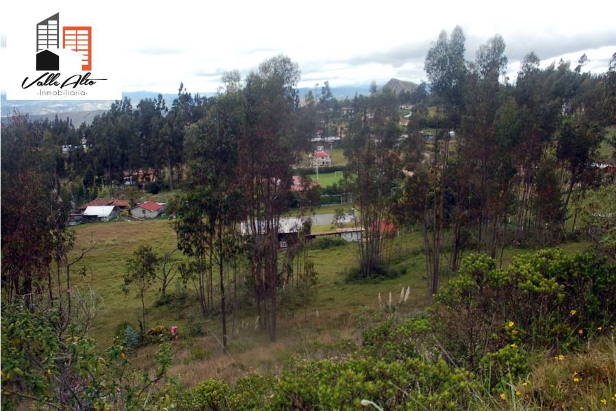 Deleg, CAÑAR, Ecuador, ,Lotes-Terrenos,Venta,Via secundaria,42647