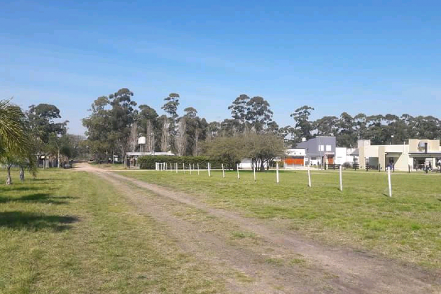 San Jose, Entre Ríos, Argentina, ,Lotes-Terrenos,Venta,9 de Julio y Rene Favaloro ,42673