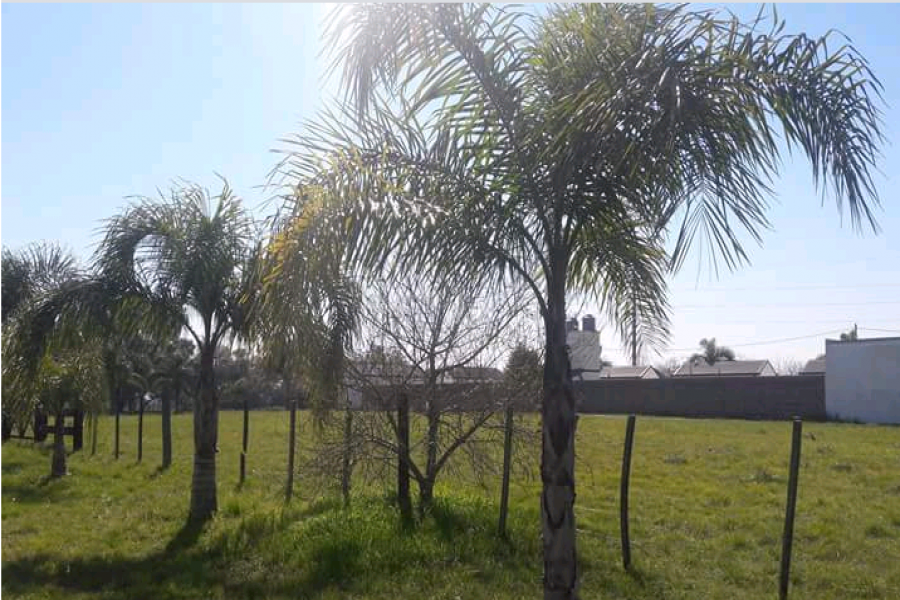 San Jose, Entre Ríos, Argentina, ,Lotes-Terrenos,Venta,9 de Julio y Rene Favaloro ,42673