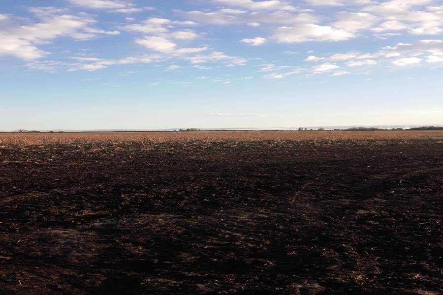 Concepcion del Uruguay, Entre Ríos, Argentina, ,Campos,Venta,42676
