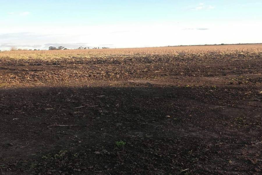 Concepcion del Uruguay, Entre Ríos, Argentina, ,Campos,Venta,42676