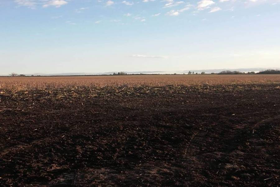 Concepcion del Uruguay, Entre Ríos, Argentina, ,Campos,Venta,42676
