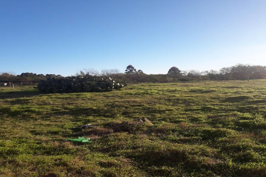 Colon, Entre Ríos, Argentina, ,Lotes-Terrenos,Venta,Colonia Hughes,42683