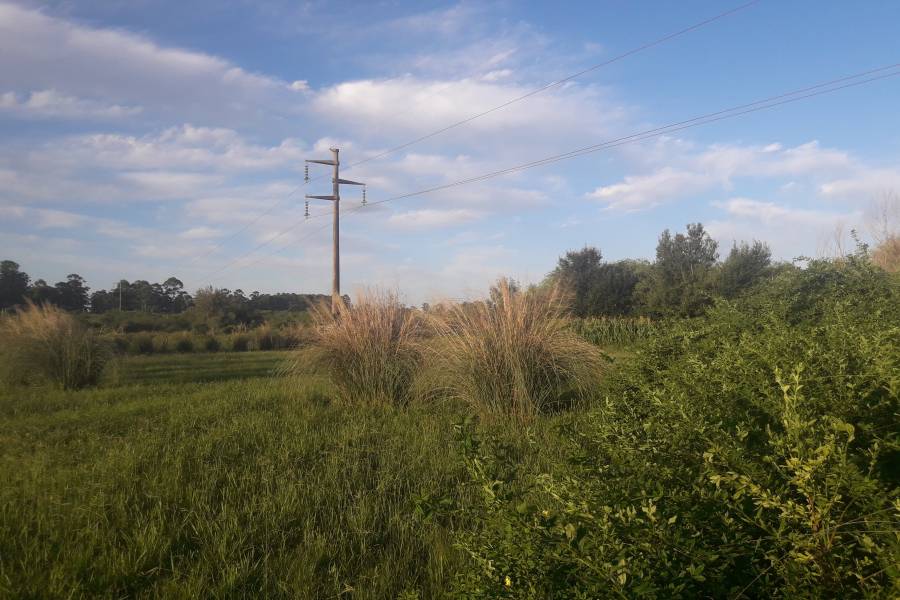 Colon, Entre Ríos, Argentina, ,Lotes-Terrenos,Venta,Colonia Hughes,42683