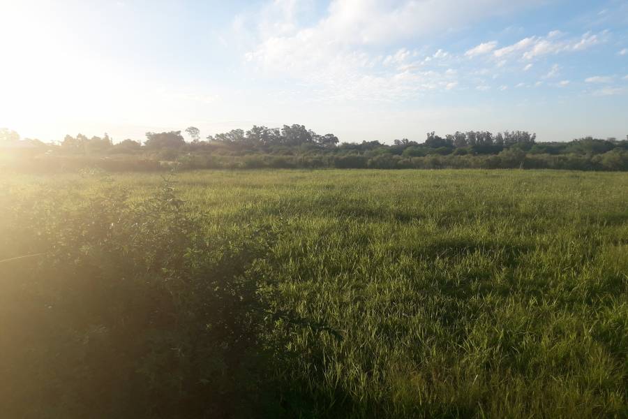 Colon, Entre Ríos, Argentina, ,Lotes-Terrenos,Venta,Colonia Hughes,42683