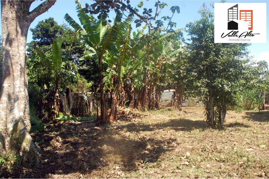 SUCUA, MORONA SANTIAGO, Ecuador, ,Lotes-Terrenos,Venta,42810