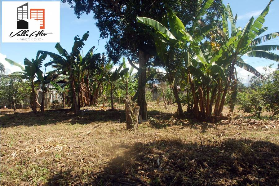 SUCUA, MORONA SANTIAGO, Ecuador, ,Lotes-Terrenos,Venta,42810