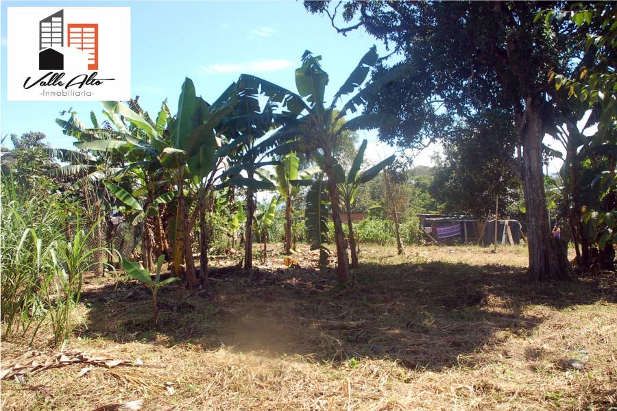 SUCUA, MORONA SANTIAGO, Ecuador, ,Lotes-Terrenos,Venta,42810
