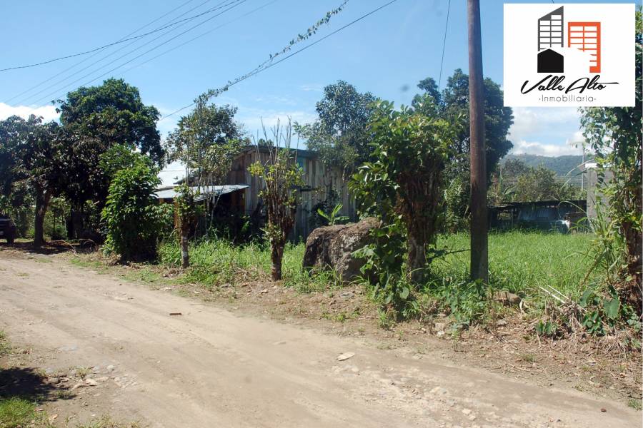 SUCUA, MORONA SANTIAGO, Ecuador, ,Lotes-Terrenos,Venta,42810