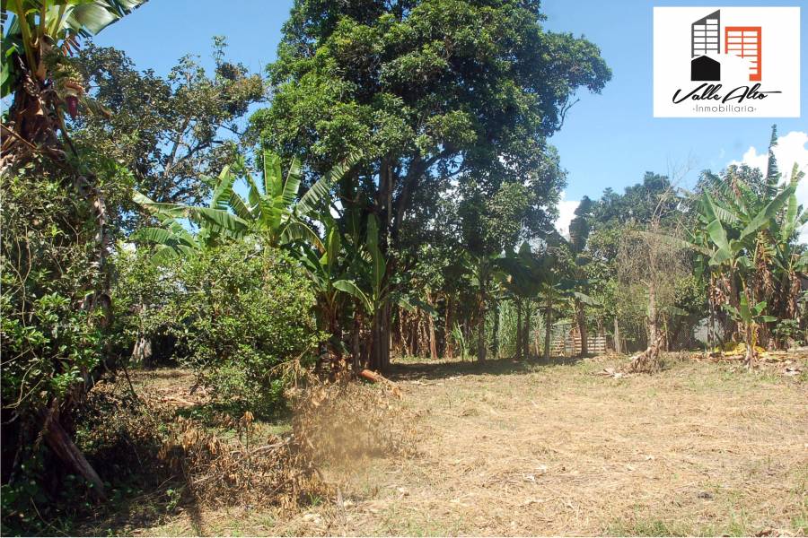 SUCUA, MORONA SANTIAGO, Ecuador, ,Lotes-Terrenos,Venta,42810