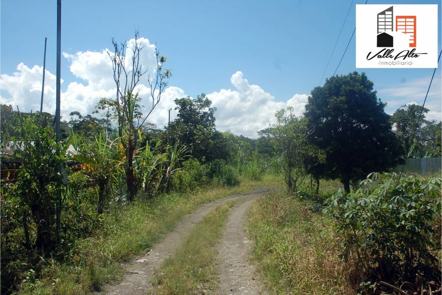 SUCUA, MORONA SANTIAGO, Ecuador, ,Lotes-Terrenos,Venta,42810
