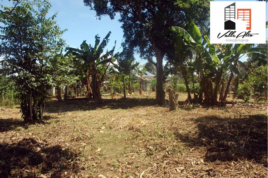SUCUA, MORONA SANTIAGO, Ecuador, ,Lotes-Terrenos,Venta,42810