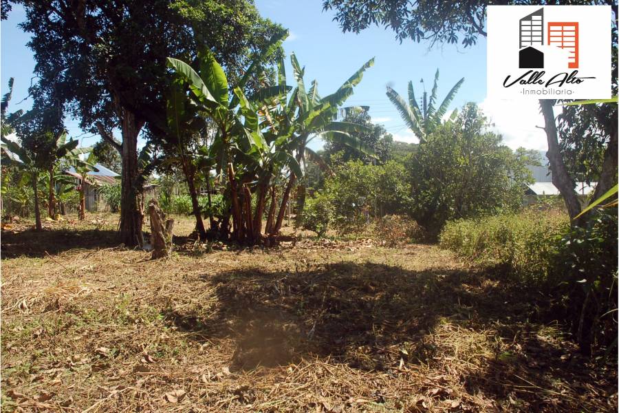 SUCUA, MORONA SANTIAGO, Ecuador, ,Lotes-Terrenos,Venta,42810