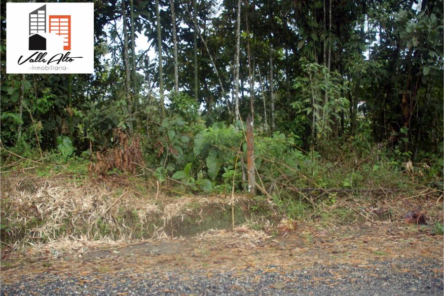 Puyo, PASTAZA, Ecuador, ,Lotes-Terrenos,Venta,42859