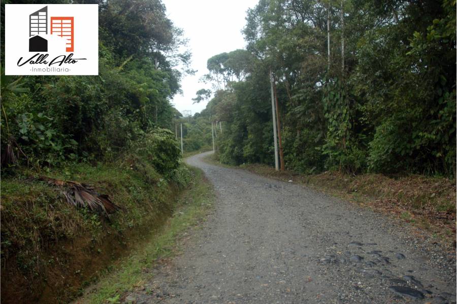 Puyo, PASTAZA, Ecuador, ,Lotes-Terrenos,Venta,42859