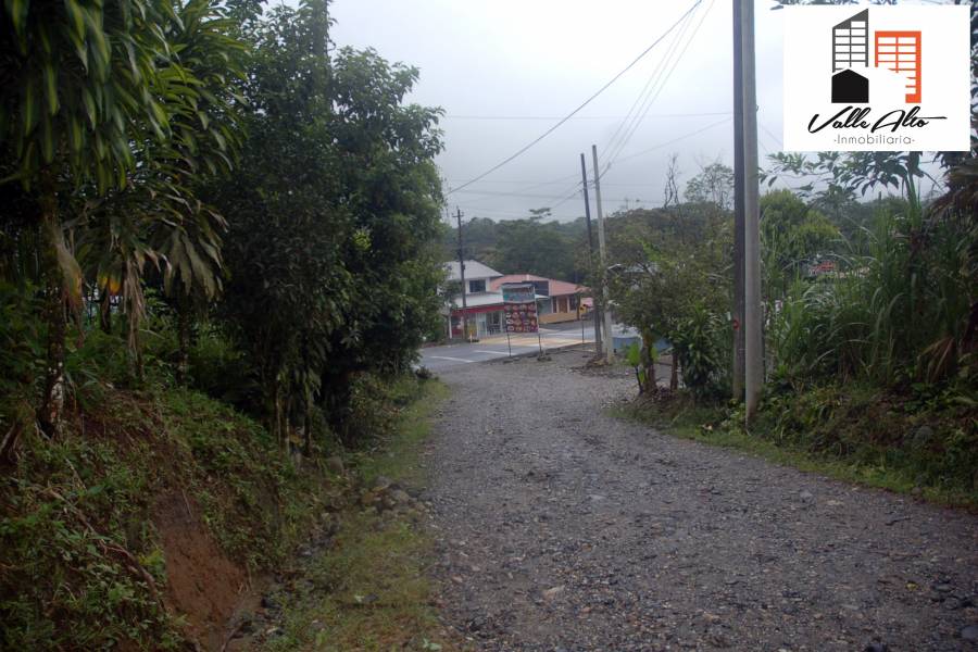 Puyo, PASTAZA, Ecuador, ,Lotes-Terrenos,Venta,42859
